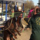 ���� ���/120/, �����-��������� - ��������� 8 ������� 2017 � ������ �����