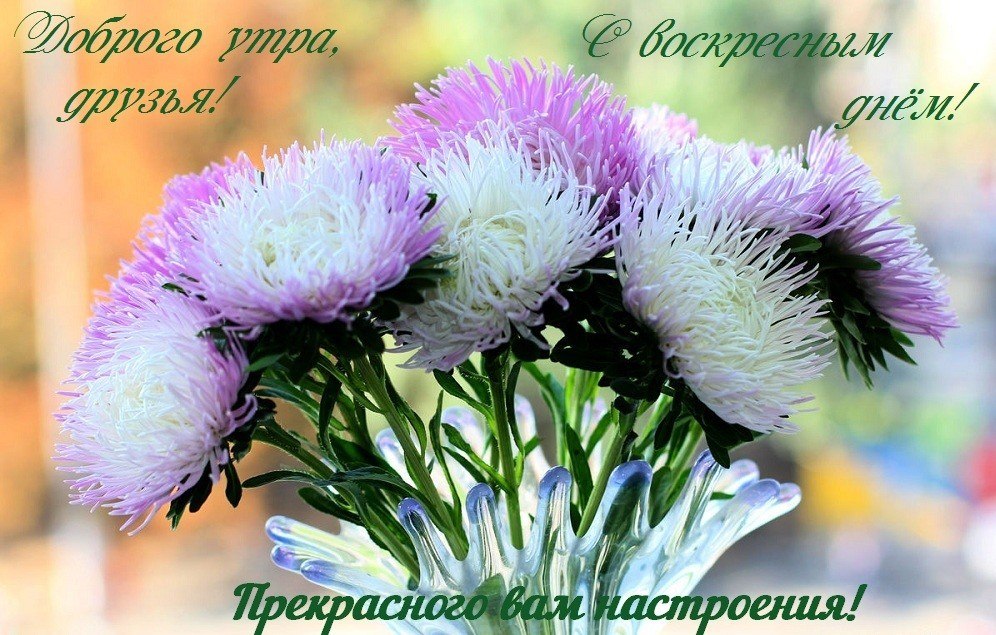 ��� ���� - 15 ������� 2017 � 10:10