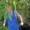 ���� ����, ������ ��������, 60 ��� - ��������� 2 ������ 2017 � ������ ���� ����������