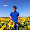 ���� ������, ������, 39 ��� - ��������� 1 �������� 2017 � ������ ���� ����������