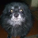 ���� Igor, ������ - ��������� 15 ���� 2017