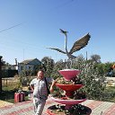 ���� ��������, ���������, 56 ��� - ��������� 13 �������� 2017 � ������ ���� ����������