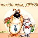 ���� Kis, ������, 43 ���� - ��������� 9 ���� 2017 � ������ ������ ��������