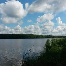 Roma, ������, 39 ���