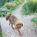 ���� ����, ������, 59 ��� - ��������� 11 �������� 2017 � ������ ���� ����������