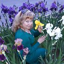 ���� ��������, ���������, 55 ��� - ��������� 9 ���� 2017 � ������ ���� ����������