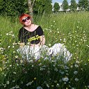 ���� ����, �����-��������� - ��������� 3 ���� 2017 � ������ ���� ����������