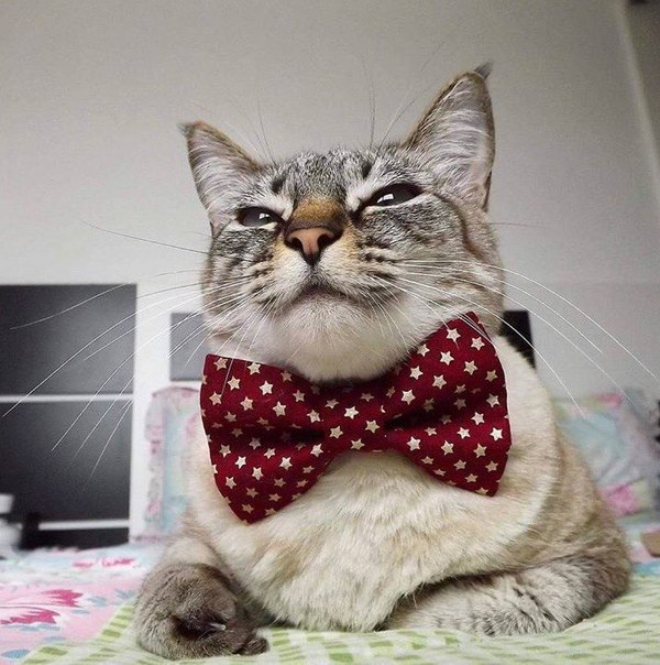 "-,  !"