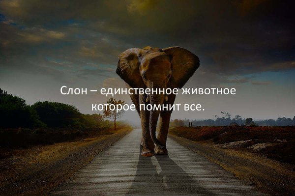 ������� - 10 ������� 2017 � 01:04