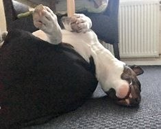 Коротко о моих планах на выходные