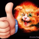 ���� ����, ������, 54 ���� - ��������� 7 ������ 2017 � ������ ���� ����������