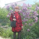 ���� �������, ������ - ��������� 29 ��� 2017 � ������ ������ ��������