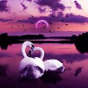 ���� ���������, ����, 70 ��� - ��������� 8 ������� 2017 � ������ ������ ��������