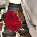 ���� �������, ����������, 42 ���� - ��������� 29 ������� 2017 � ������ ���� ����������