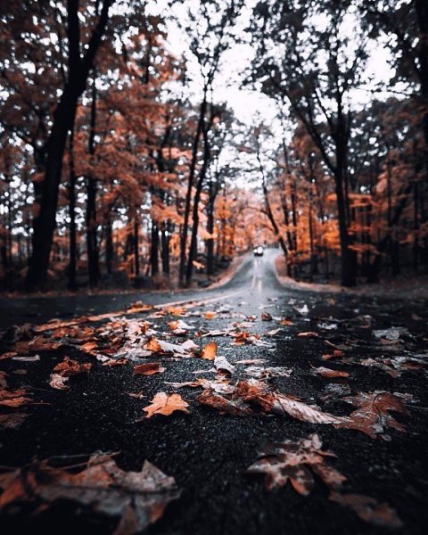 ����������: �����, �����, �����...