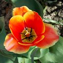 ��� 2017 �� ������� ���� ����������� (!) ��������)�