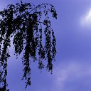 ���� Vidas, ��������, 64 ���� - ��������� 2 �������� 2017 � ������ ������ ��������