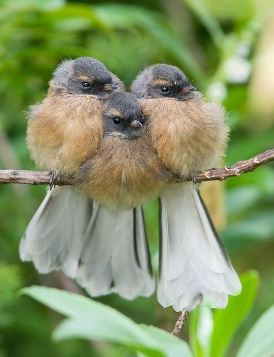 �������� ����� - � ��� ����� ���������, �������� ���� ���� - � �� �� ���. �������� ����� - ���� ...