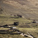 ���� Lilly, ����������� - ��������� 19 ��� 2017 � ������ ������ ��������