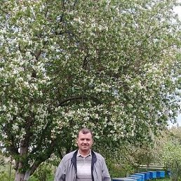 ��������, ����, 65 ���