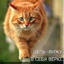 ���� ������, �����, 43 ���� - ��������� 9 ������� 2017