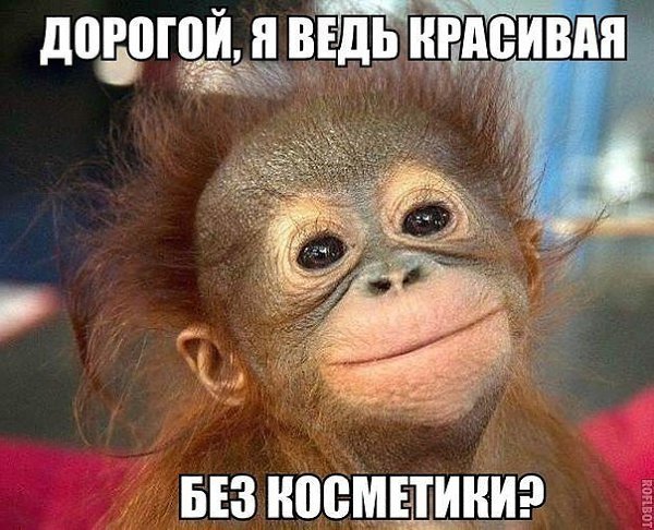 � � ����...� ���������... - 2