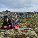 ���� ����, �������, 44 ���� - ��������� 26 ������� 2017 � ������ ���� ����������