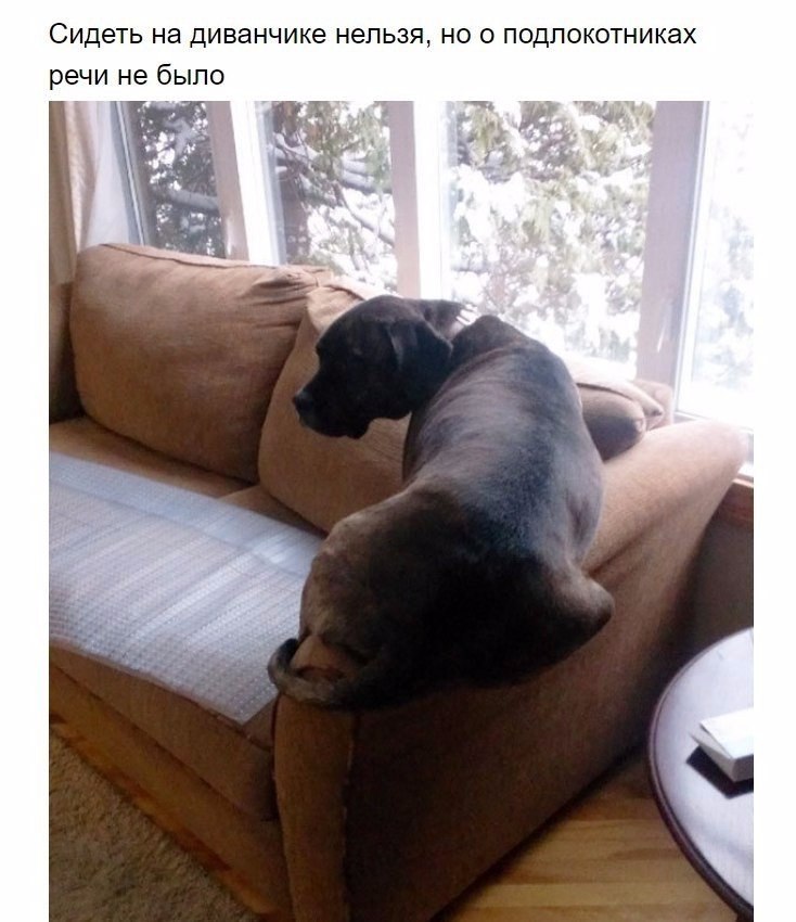 ***Victoria Viktorovna*** - 23  2017  15:17