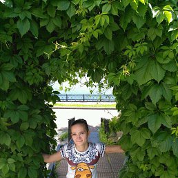 �����, �������