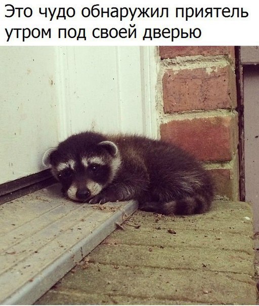   - 3  2017  14:06