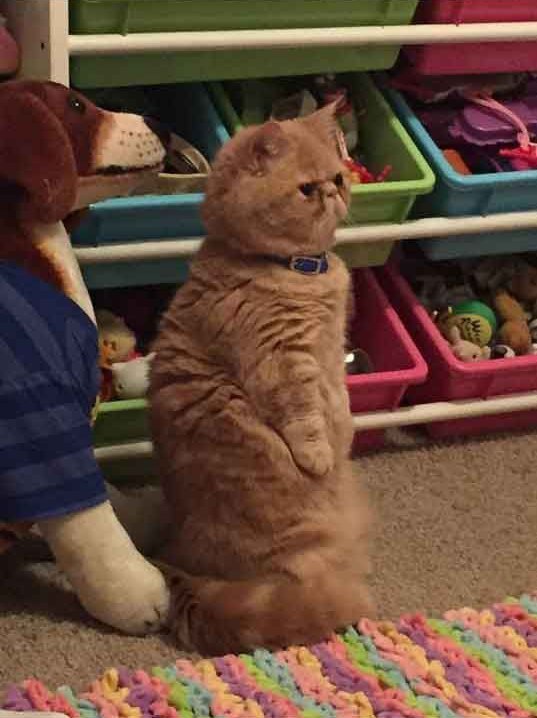  - 3