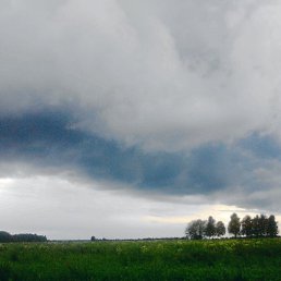 ���� ������, �����-���������, 45 ��� - ��������� 28 �������� 2017