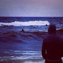 ���� ���������, ����������, 42 ���� - ��������� 17 ������� 2017 � ������ ���� ����������