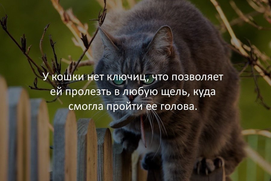  - 28  2017  10:20