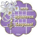 ���� �������, ���������, 73 ���� - ��������� 24 ������ 2017 � ������ ������ ��������