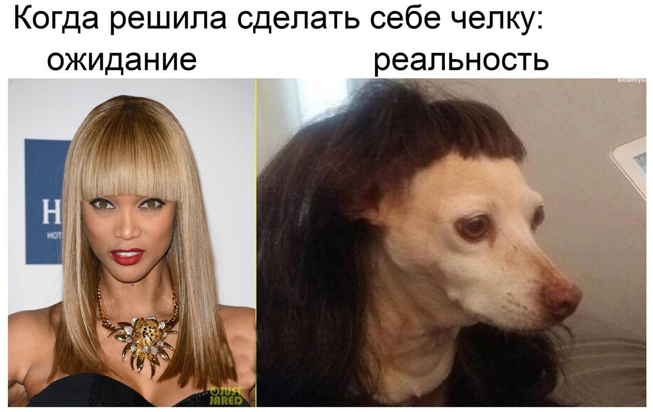 Мем с челкой девушка