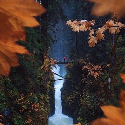 ���� �������, ������ - ��������� 12 ������ 2017