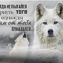  , -, 58  -  14  2017    