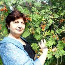 ���� �������, ����, 66 ��� - ��������� 8 ������� 2017 � ������ ������ ��������