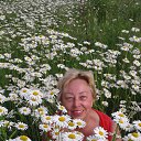 ���� ���������, �����������, 63 ���� - ��������� 28 ���� 2017 � ������ ���� ����������