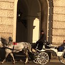 ���� ������, ���� - ��������� 29 ������ 2017 � ������ ���� ����������
