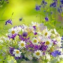 ���� ������..)), ������, 52 ���� - ��������� 20 ���� 2017 � ������ ���� ����������