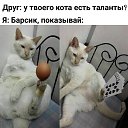 ���� Irinka, �������������� - ��������� 15 ������ 2017 � ������ ������ ��������