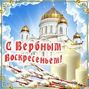 ���� ����, ����� - ��������� 9 ������ 2017 � ������ �������� ��������