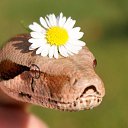 ���� ����, ���������, 48 ��� - ��������� 13 ������ 2017 � ������ ���� ����������