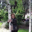 ���� �����, ������-��-����, 55 ��� - ��������� 13 ��� 2017 � ������ ���� ����������