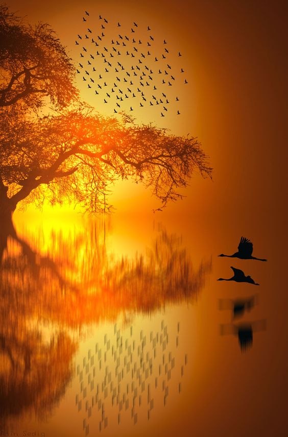  ! - 15  2017  19:56 - 6