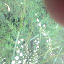 �������.. �� ������� ������..�