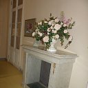 ���� �����, �����-���������, 51 ��� - ��������� 5 ���� 2017 � ������ ������ � ���������� �����