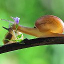 ���� ������, ������ - ��������� 31 ������� 2017 � ������ �������